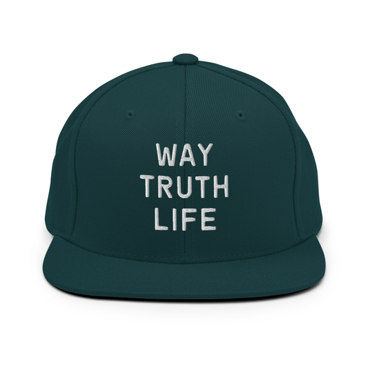 Way Truth Life Embroidered Snapback Hat